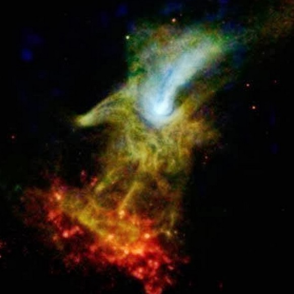 Meet your Posher, Haley - Picture 1 of 1